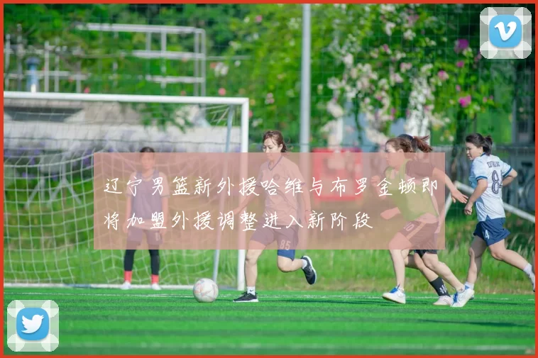 辽宁男篮新外援哈维与布罗金顿即将加盟外援调整进入新阶段