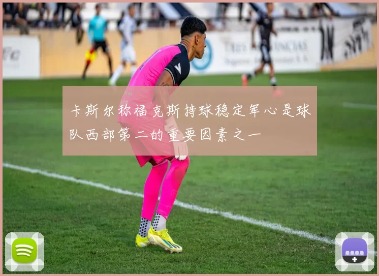 卡斯尔称福克斯持球稳定军心是球队西部第二的重要因素之一
